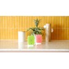 RELAXOUND Original Junglebox Jungle Sound - Nature Sounds - Rainforest