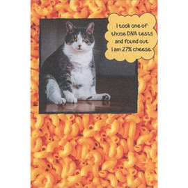 Recycled Paper Greetings Cat DNA Test: I'm 27 Percent Cheese Funny/Humorous Birthday Card
