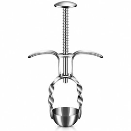 Stainless Steel Fruit Pitter for Cherries & Jujubes – Spring-Loaded Corer for Easy Kitchen Fruit Prep