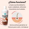Shampoo Zaire Anticaída y para Crecimiento con Biotina, Keratina y