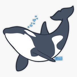 Magnet Happy Orca Magnet Bumper Sticker Car Magnet Flexible Reuseable Magnetic Vinyl 5"