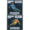 Guinea-Bissau 4666-4667 (complete. issue) unmounted mint/never hinged ** MNH 2010 Ski Alpine (Stamps for collectors) Winter sports (skiing/ice hockey/bobsleigh ...)