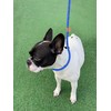 Petarea Petarea 5 FT Slip Lead Dog Leash, Heavy Duty