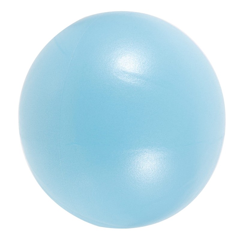 OHPHCALL 2pcs Professional Yoga Ball Small Ball Home Workout Core