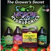 MICROBE LIFE HYDROPONICS PH21368 Premium Vitamins & Amino Acids Essential