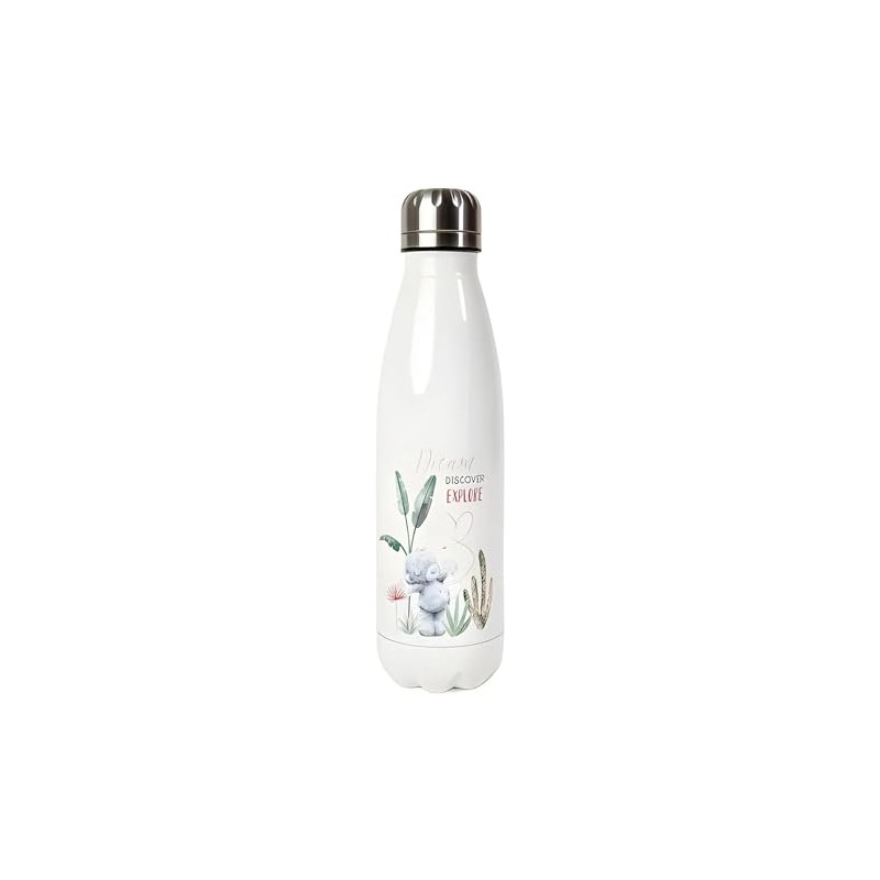 Me To You Bear Dream Discover Explore Water Bottle, Blue,green,grey,pink