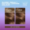 Clairol Nice'n Easy Tone+Gloss Semi Permanent Hair Dye - 600/755