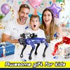 SkylineExtend Remote Control Robot Dog Toy for Kids, Programmable Interactive