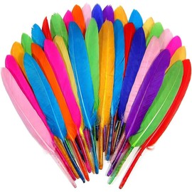50PCS Colorful Feathers for Crafts, Natural Goose Feathers for Fantasy Ornament Dream Catchers Earring Wedding Party DIY Art Crafting Gift Box Filling Decoration, 9-15cm