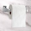 EZ-FLO 15235 Toilet Paper Holder with Exposed Screw, Chrome