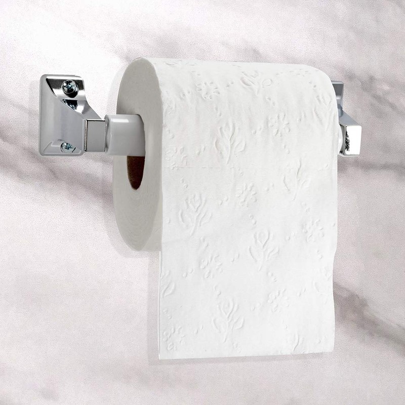 EZ-FLO 15235 Toilet Paper Holder with Exposed Screw, Chrome