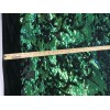 New Creations Fabric And Foam Inc GREEN IRIDESCENT SEQUINS ON
