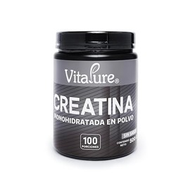 Creatina Monohidratada en Polvo  500 g 100 Porciones Sin Sabor                                                                                        