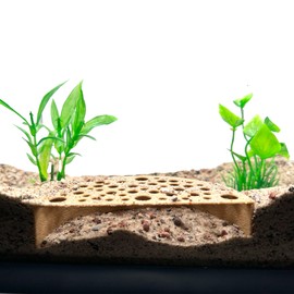 Shrimp Breeding Protector | Shrimp Breeding Cave Aquarium Tunnel | CTWPets (Light Brown)