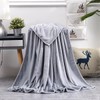 BYNZZUR Fleece Bed Blankets Queen Size Grey - Soft Lightweight