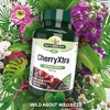 Natures Aid 500mg Cherryxtra 60 Capsules