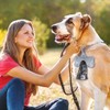 NCKIHRKK 600 Pezzi Sacchetti Cane Cacca, a base di Amido