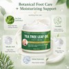 Tea Tree Foot Cream for Dry Rough Feet, Moisturizing Heel