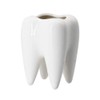 YOFIT Modern Style Teeth Pots Ceramic Flower Pot, White Succulent