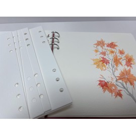 MAIMOUFIN 300gsm100% Cotton Watercolor Refill Paper - 6-Hole Punched Removable Pages 20 Sheets Dual-Surface Hot-Pressed Front/Cold-Pressed Back for Standard 6-Ring Metal Binder Sketchbooks (Cotton)