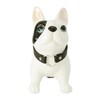 Bulldog Money Box