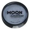 Moon Creations - Professional water-activated face paint - dark grey