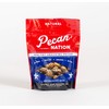 Pecan Nation All Natural Unsalted Pecan Halves 16 oz., No preservatives, Antioxidant-Rich, Low Carb, Healthy Nut Snack for Adults and Kids (2 Pack)