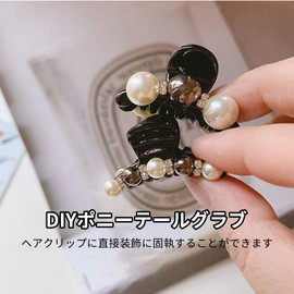 Liroyal Hair Clips, Mini Small (Set of 2), Women's, Hair Clips, Hair Accessories, Hair Arrangement, Simple, Lightweight, Office, Black