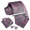 Enlision Men's Ties Pink Paisley Clip Tie and Pocket Square