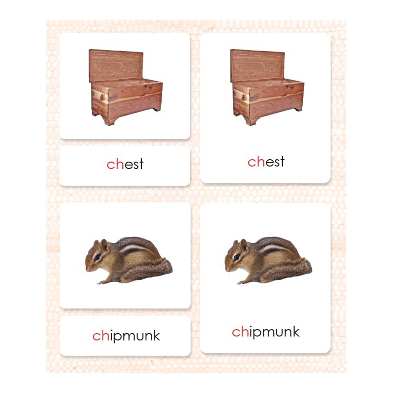 Phonetic Reading Cards Level 3, Group 1 (11 Packets)