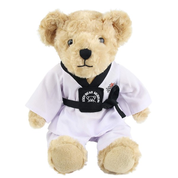 Houwsbaby Taekwondo Teddy Bear Karate Bear Martial Arts Stuffed Animals Adorable Gifts for Taekwondo Kids Black Belt Gifts for Girls and Boys