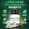 Satoomi Lions Mane with Ginkgo Biloba Supplement - 60 Capsules