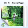 Phomemo A4 Thermal Paper 2 Rolls, Compatible with Phomemo M832/M834
