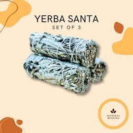 Yerba Santa Sage (3 Pack) - Smudging Kit with 4 Inch Bundles Sticks for Spiritual Grounding Intention Plants Perfume
