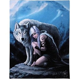 Anne Stokes Wall Canvas Plaque – Protector Magic, multicoloured, 19.05 x 25.40 cms