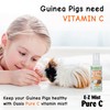 Oasis Guinea Pig Pure C Vita E-Z Mist Supplement, 2