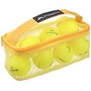 Casco Golf Balls DNA 2 Piece Ball Net Pack Yellow
