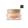 [Adhesive Concealer] Salmon Dark Circle Concealer No. 0-2 Single Item