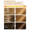 Garnier Belle Color Permanent Hair Dye, 73 Dark Golden Blonde,