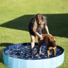 Alberca Plegable Piscina Perro Mascota Bañera Baño160cm