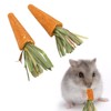 20pcs Carrot Shaped Hamster Toy Teeth Grinding Decorative Crude Fiber