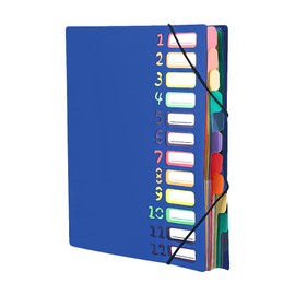 Document Folder A4 Expanding Folder with 12 Compartments Organiser Folder Waterproof Sorting Folder with Elastic Band File Folder Portable File Folder Colourful Document Organiser for Work Office