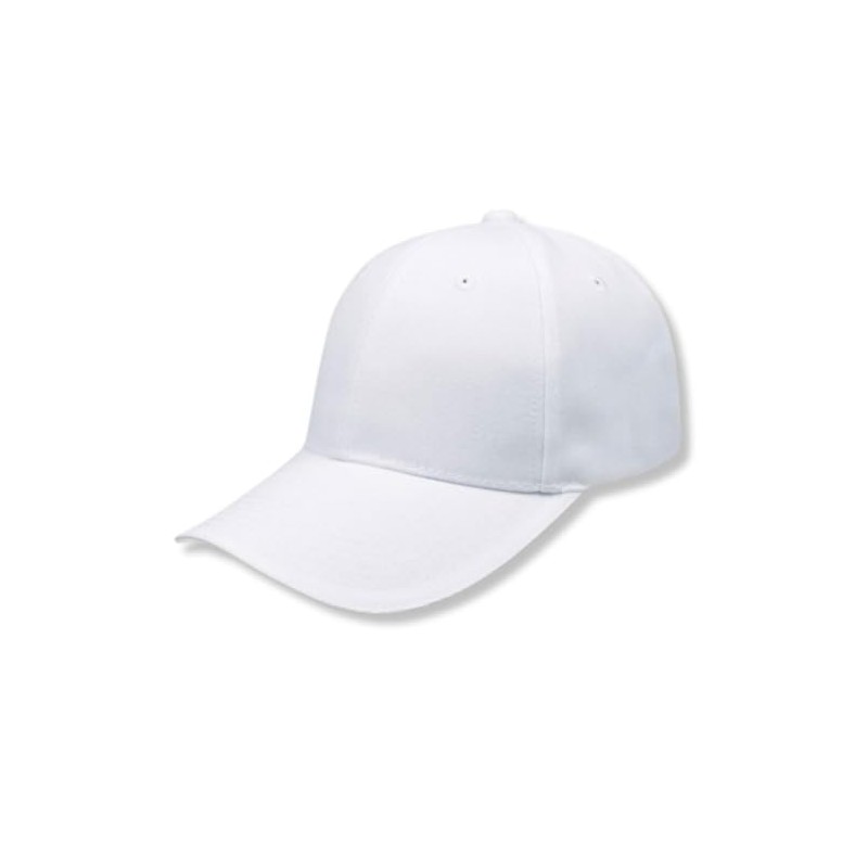 Genérico Paquete 5 Gorras Económicas de Acrilico, Lisa, Cachucha Unisex,