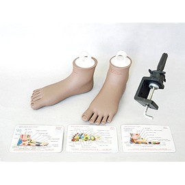 Reflexology Feet Tools Kit for Education Training Practicing by Charlene® (Tan Plain)