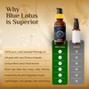 Pure Organic Moringa Oil with Blue Lotus Flower | Deep