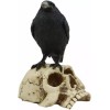 Ebros Gothic Raven Perching On Skull Statue 7.25" High Crow