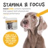 maxxipaws maxxicardio Heart and Cardiovascular Supplement for Dogs – Powder