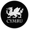 AK Wall Art Cymru Welsch Dragon Car Vinyl Sticker - SELECT SIZE - (A) X-Small: 2"