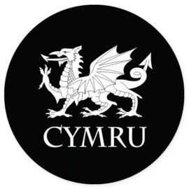 AK Wall Art Cymru Welsch Dragon Car Vinyl Sticker - SELECT SIZE - (A) X-Small: 2"