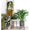 D'vine Dev 10 Inch Planter Pot with Stand, Mid-Century Tall